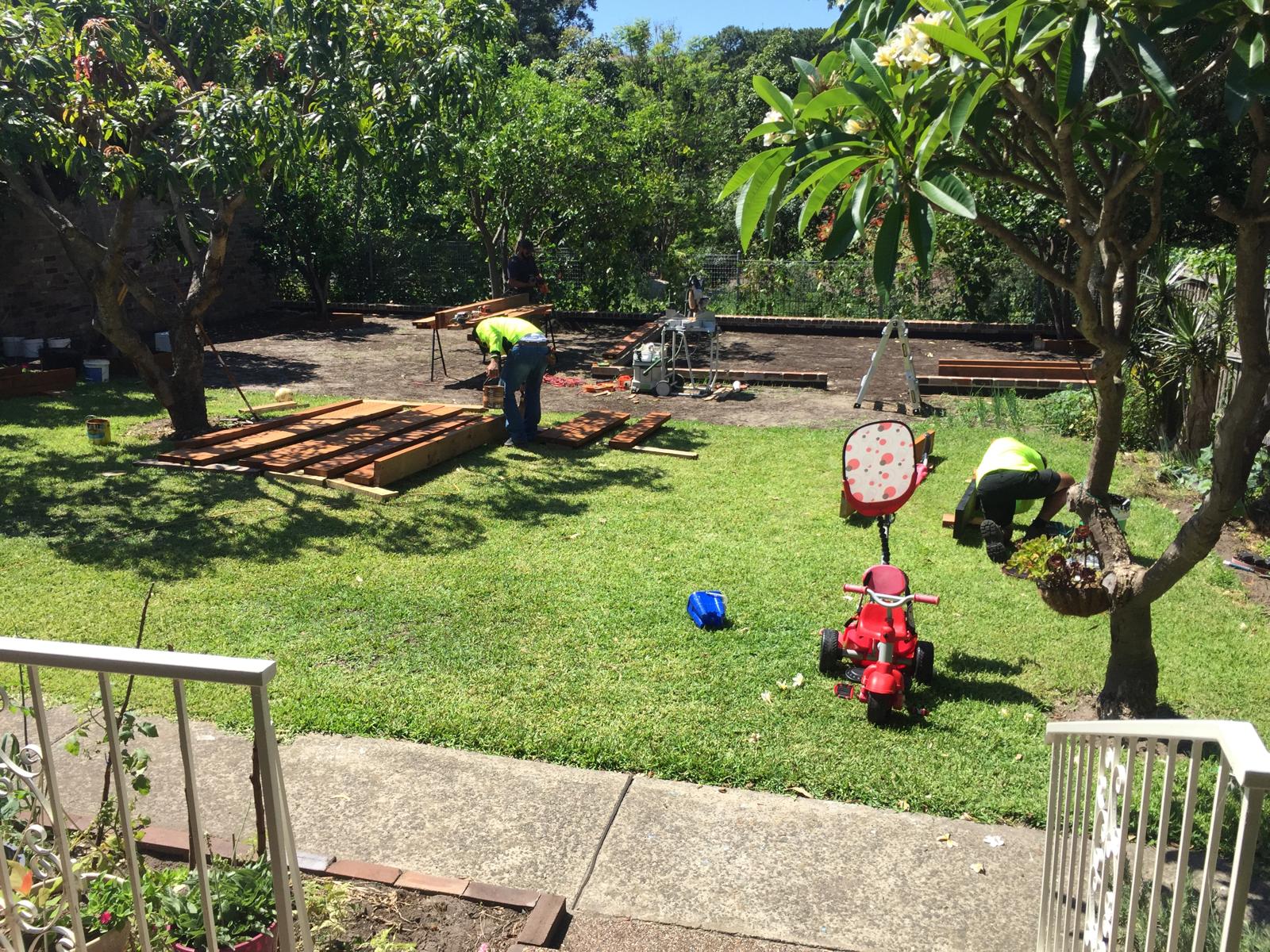 Garden clean-up, Parramatta